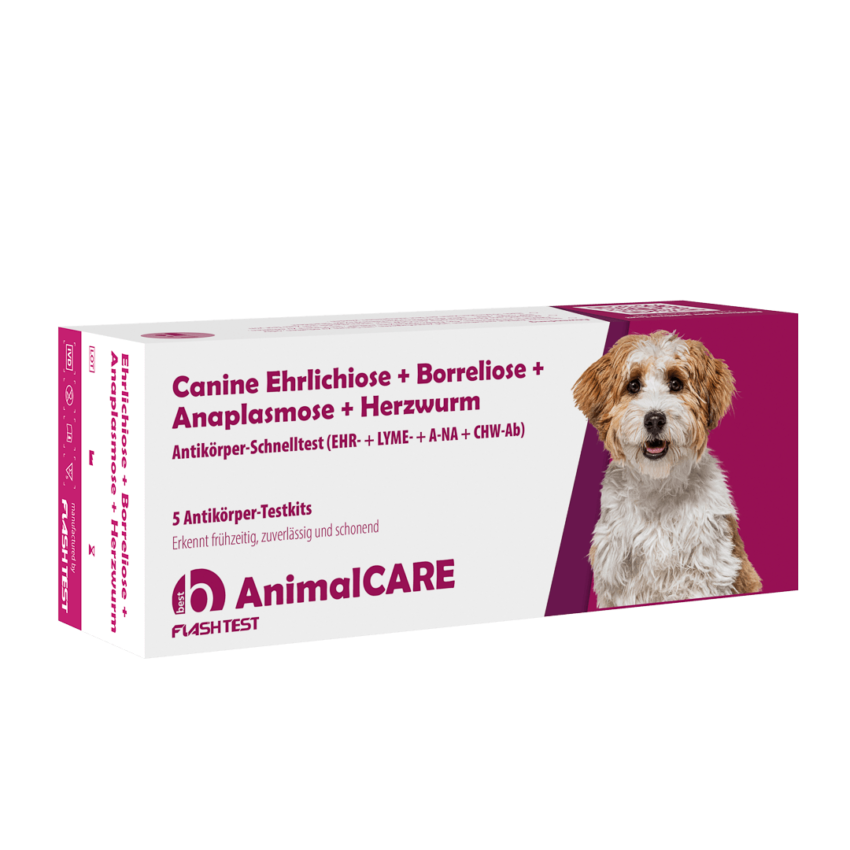 Undertrykke Kortfattet lettelse Canine Ehrlichiose + Borreliose + Anaplasmose + Herzwurm Antikörper  Kombi-Schnelltest • best medical Onlineshop