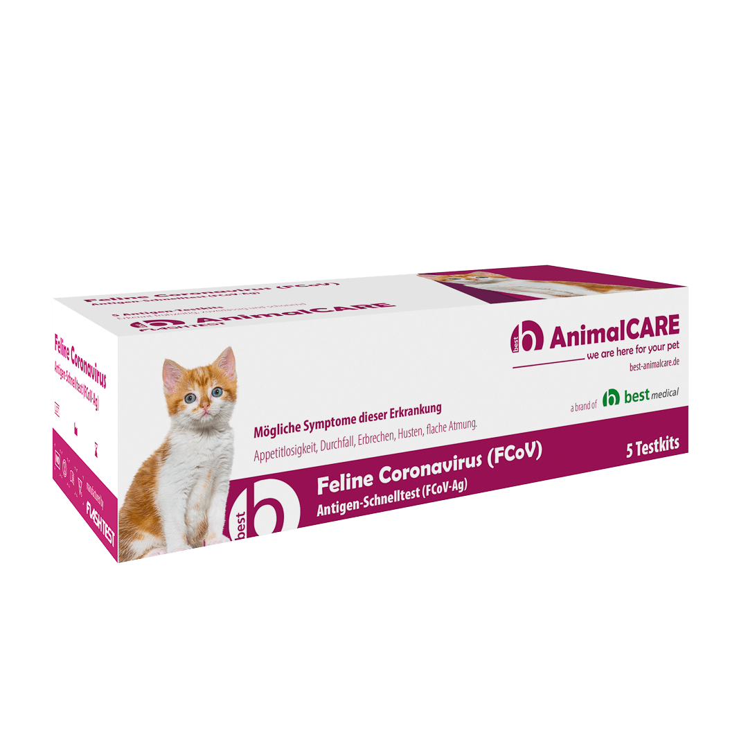 best AnimalCARE Schnelltest 5er Box Feline Coronavirus (FCoV) von der Seite