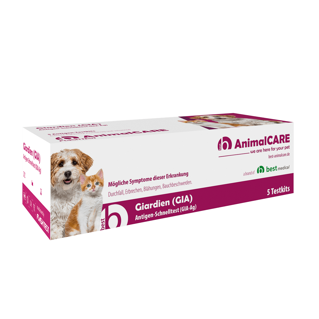 giardien-gia-antigen-schnelltest-best-medical-onlineshop