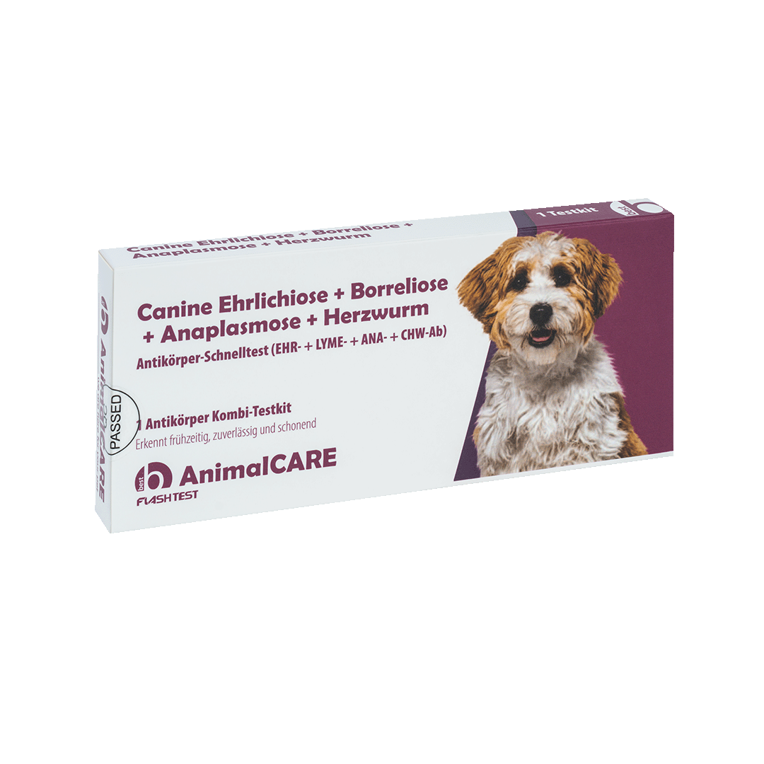 best AnimalCARE Schnelltest 1er Box Canine Ehrlichiose (EHR), Borreliose (LYME), Anaplasmose (ANA) und Herzwurm (CHW) von vorne