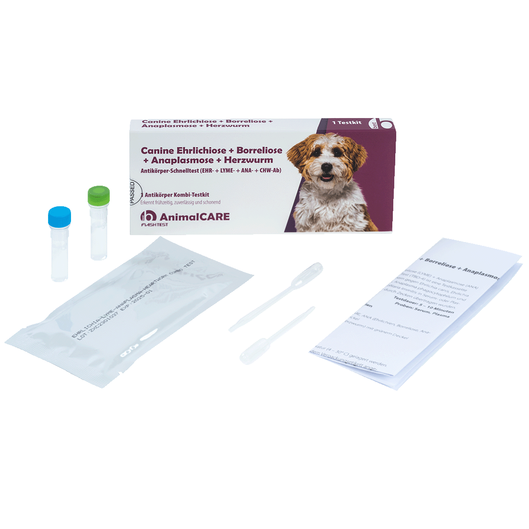 best AnimalCARE Schnelltest 1er Box Canine Ehrlichiose (EHR), Borreliose (LYME), Anaplasmose (ANA) und Herzwurm (CHW) von vorne mit Einzelkomponenten