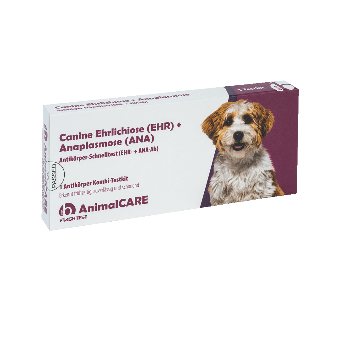 best AnimalCARE Schnelltest 1er Box Canine Ehrlichiose (EHR) und Anaplasmose (ANA) von vorne