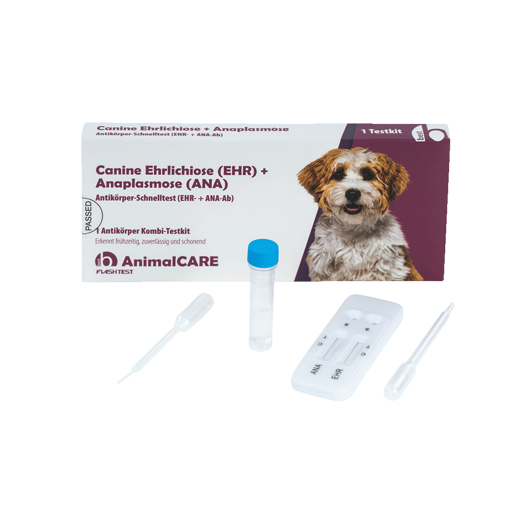 best AnimalCARE Schnelltest 1er Box Canine Ehrlichiose (EHR) und Anaplasmose (ANA) von vorne mit ausgepackten Einzelkomponenten