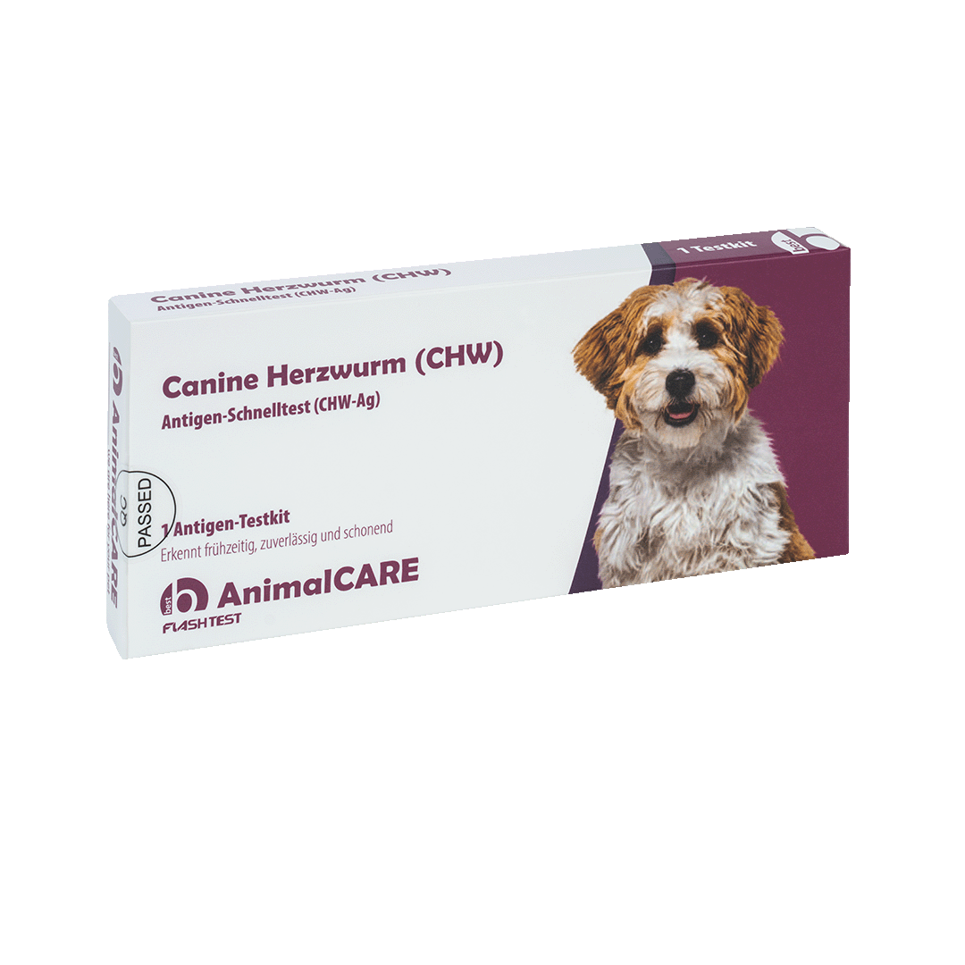 best AnimalCARE Schnelltest 1er Box Canine Herzwurm (CHW) von vorne