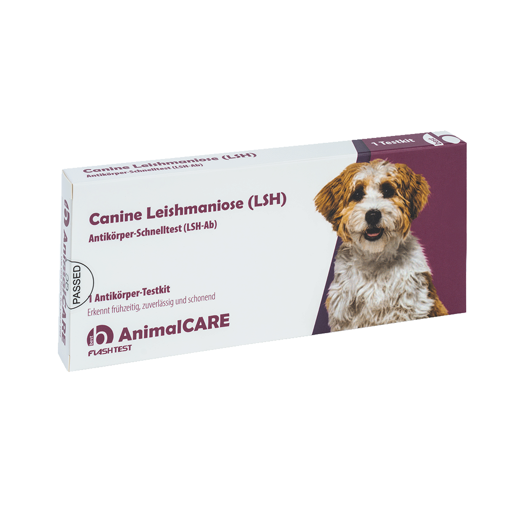 best AnimalCARE Schnelltest 1er Box Canine Leishmaniose (LSH) von vorne