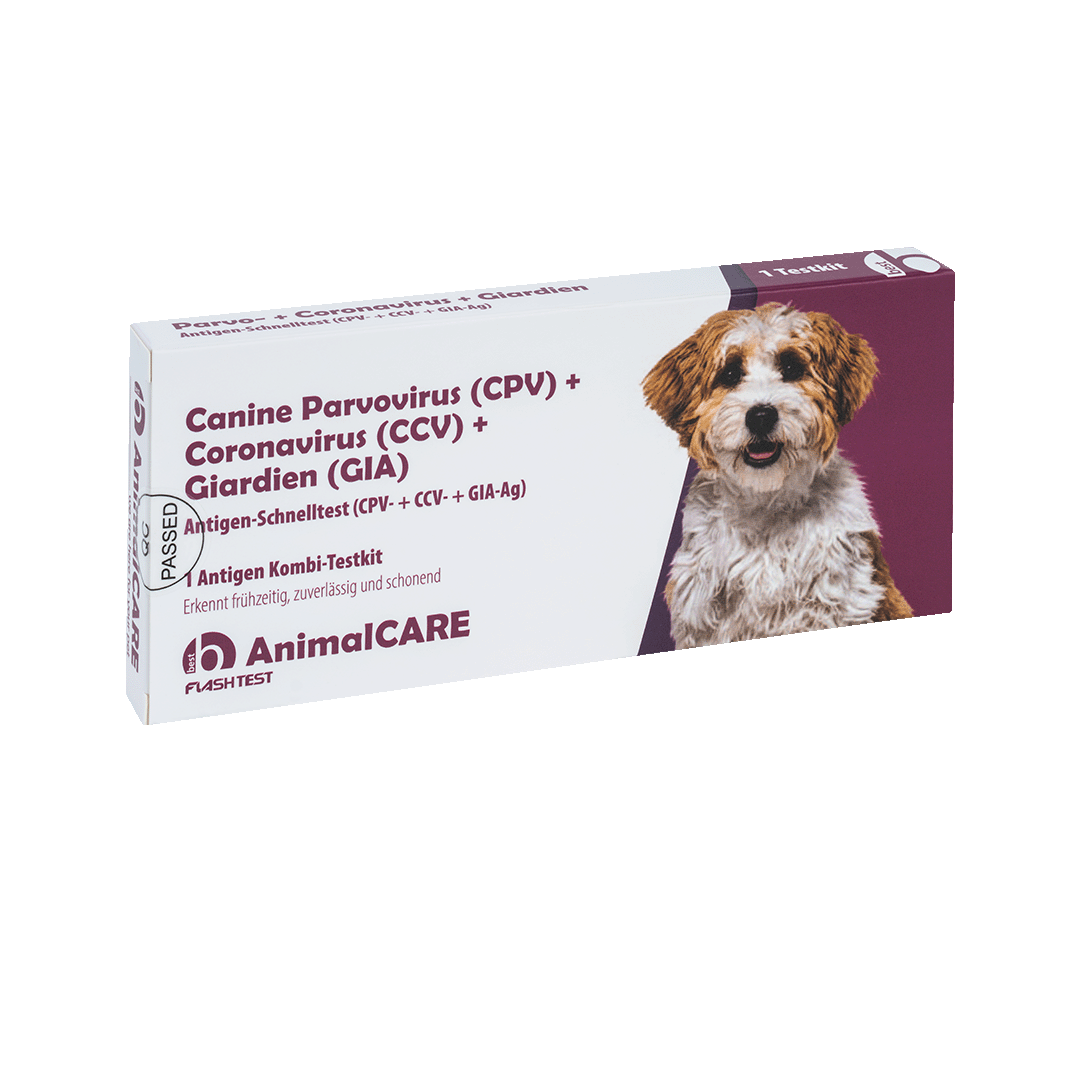 best AnimalCARE Schnelltest 1er Box Canine Parvovirus (CPV), Coronavirus (CCV) und Giardien (GIA) von vorne