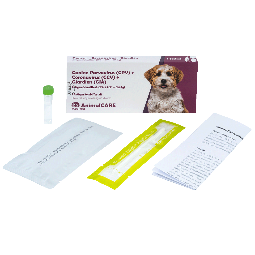 best AnimalCARE Schnelltest 1er Box Canine Parvovirus (CPV), Coronavirus (CCV) und Giardien (GIA) von vorne mit Einzelkomponenten