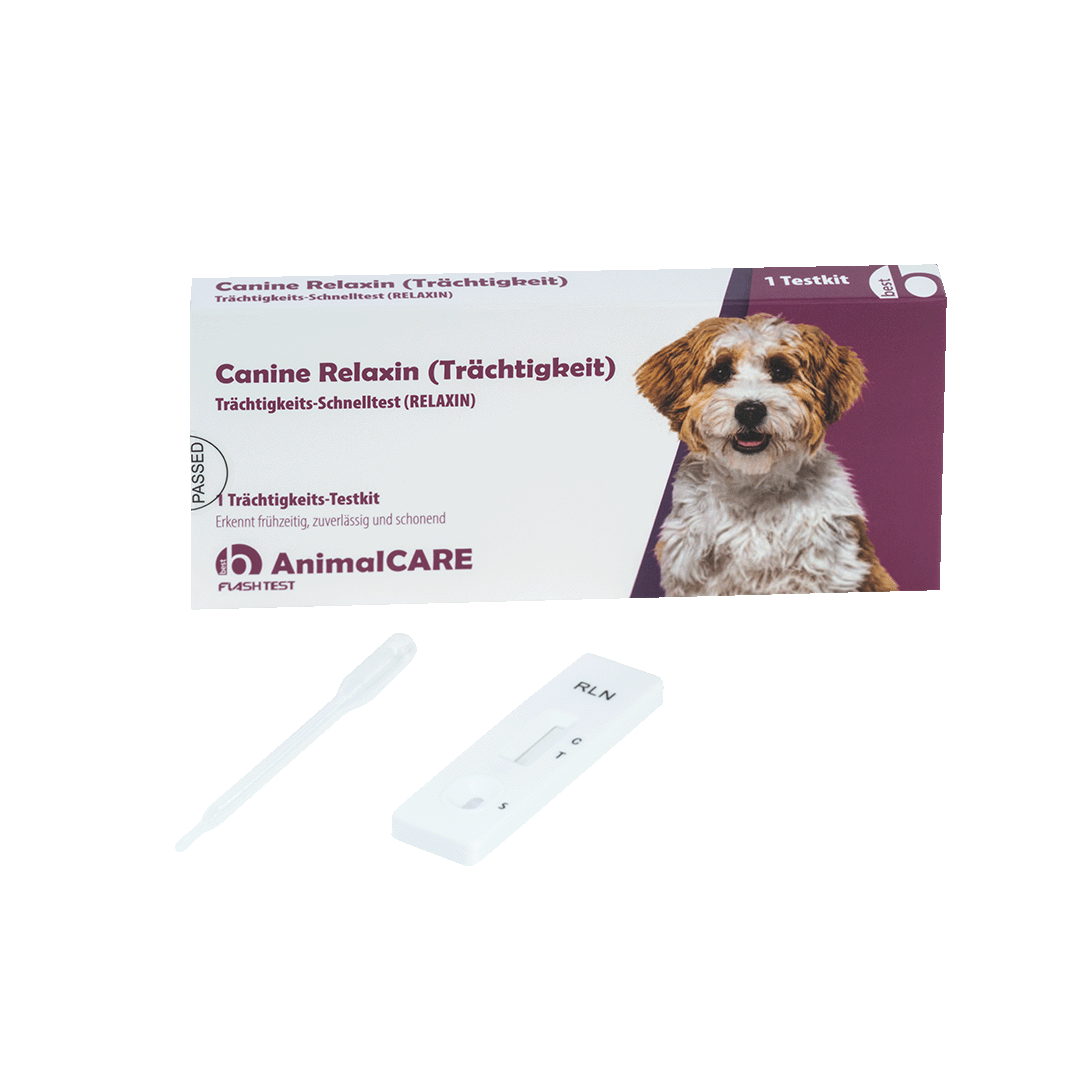 best AnimalCARE Schnelltest 1er Box Canine Relaxin (Trächtigkeit) von vorne mit ausgepackten Einzelkomponenten
