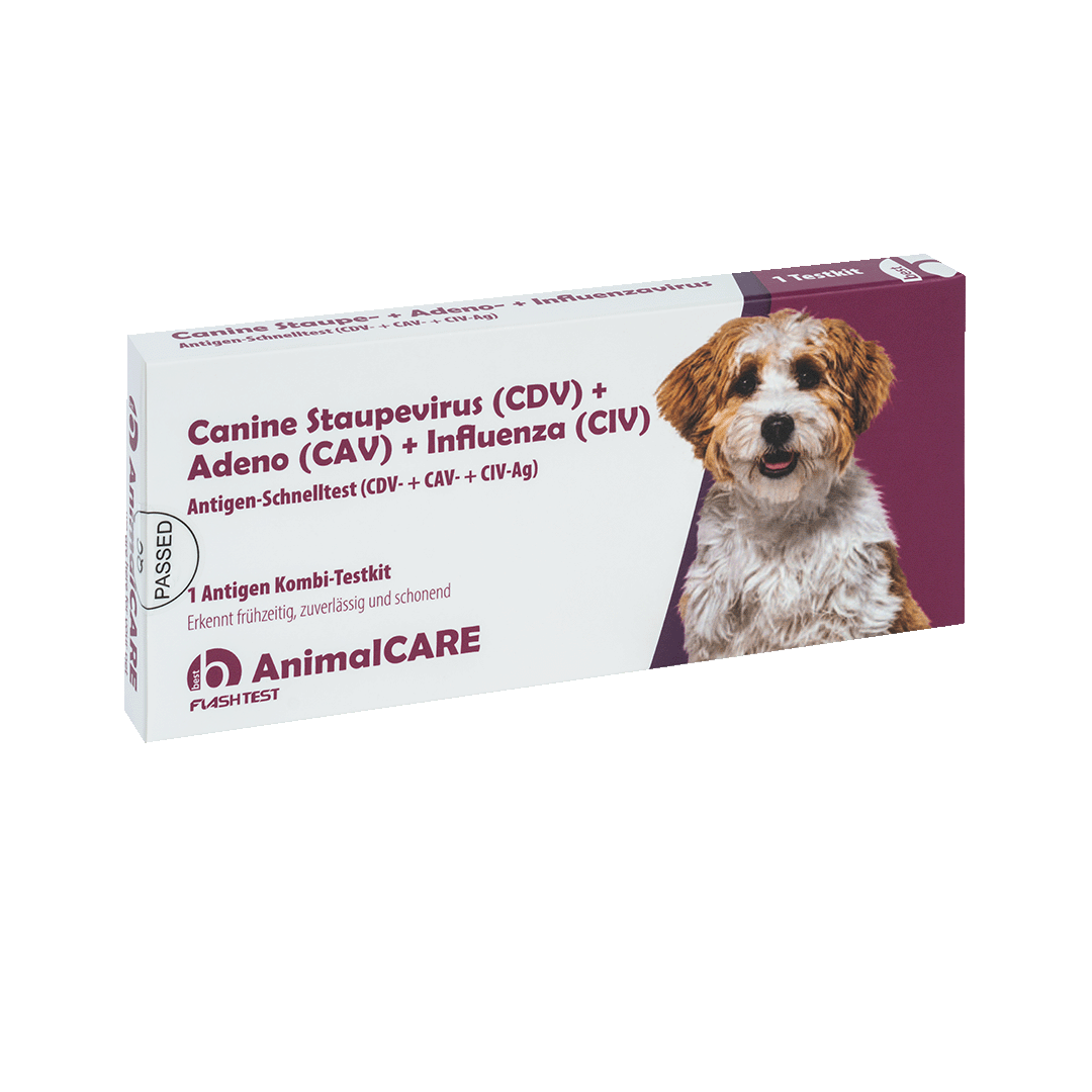 best AnimalCARE Schnelltest 1er Box Canine Staupevirus (CDV), Adeno (CAV) und Influenza (CIV) von vorne