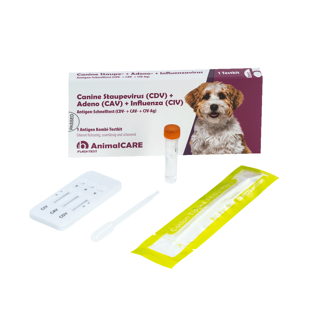 best AnimalCARE Schnelltest 1er Box Canine Staupevirus (CDV), Adeno (CAV) und Influenza (CIV) von vorne mit ausgepackten Einzelkomponenten
