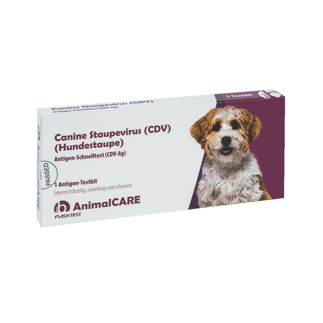 best AnimalCARE Schnelltest 1er Box Canine Staupevirus (CDV), Hundestaupe von vorne