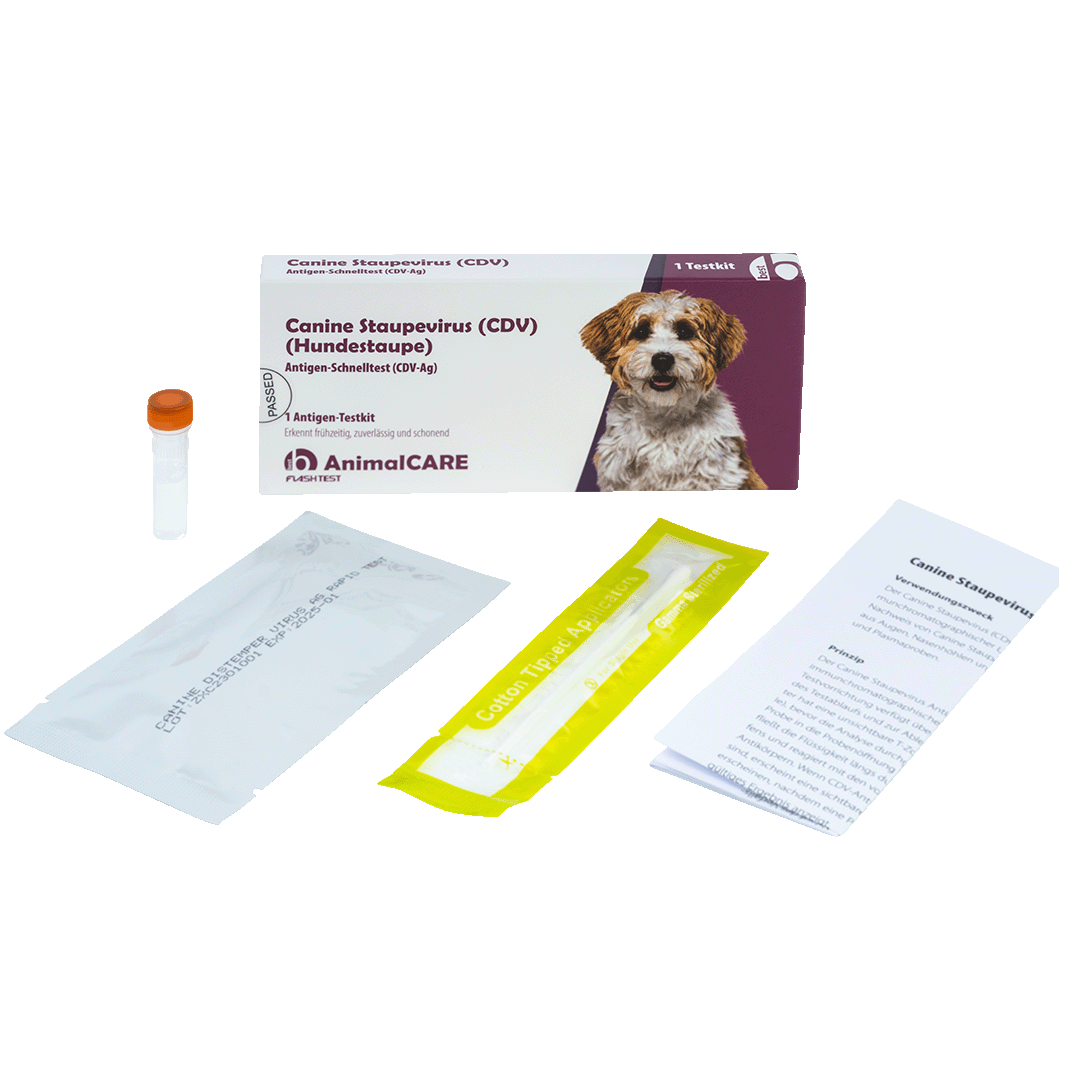best AnimalCARE Schnelltest 1er Box Canine Staupevirus (CDV), Hundestaupe von vorne mit Einzelkomponenten
