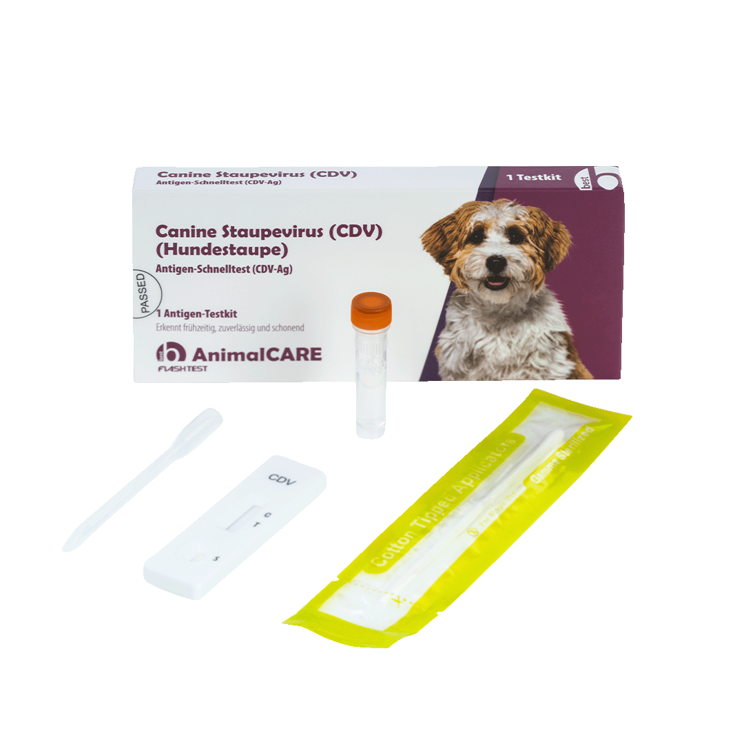 best AnimalCARE Schnelltest 1er Box Canine Staupevirus (CDV), Hundestaupe von vorne mit ausgepackten Einzelkomponenten