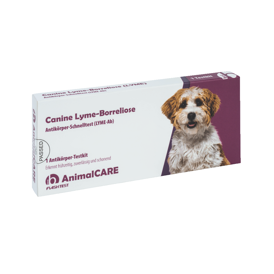 best AnimalCARE Schnelltest 1er Box Canine Lyme-Borreliose (LYME) von vorne