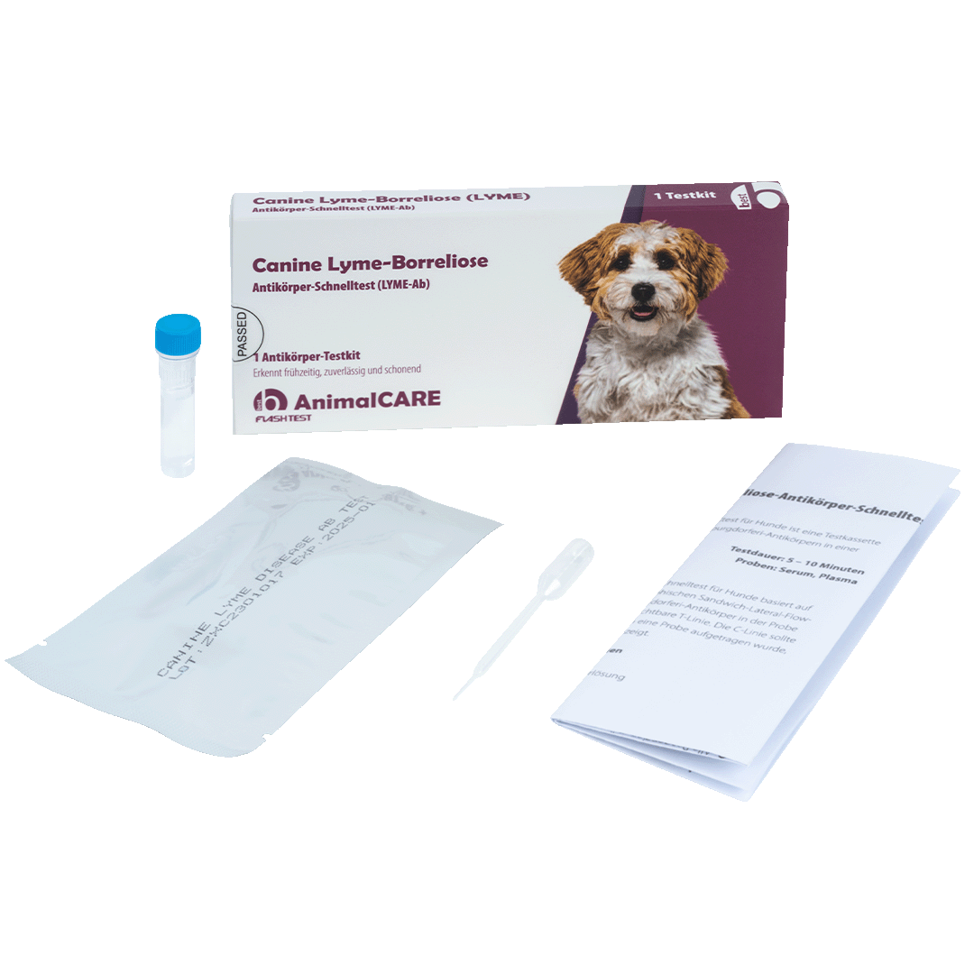 best AnimalCARE Schnelltest 1er Box Canine Lyme-Borreliose (LYME) von vorne mit Einzelkomponenten