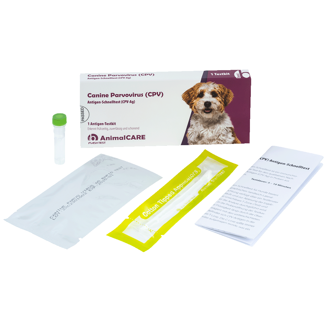 best AnimalCARE Schnelltest 1er Box Canine Parvovirus (CPV) von vorne mit Einzelkomponenten