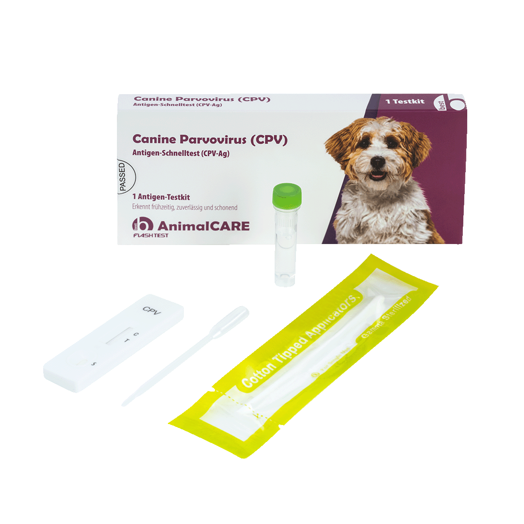 best AnimalCARE Schnelltest 1er Box Canine Parvovirus (CPV) von vorne mit ausgepackten Einzelkomponenten