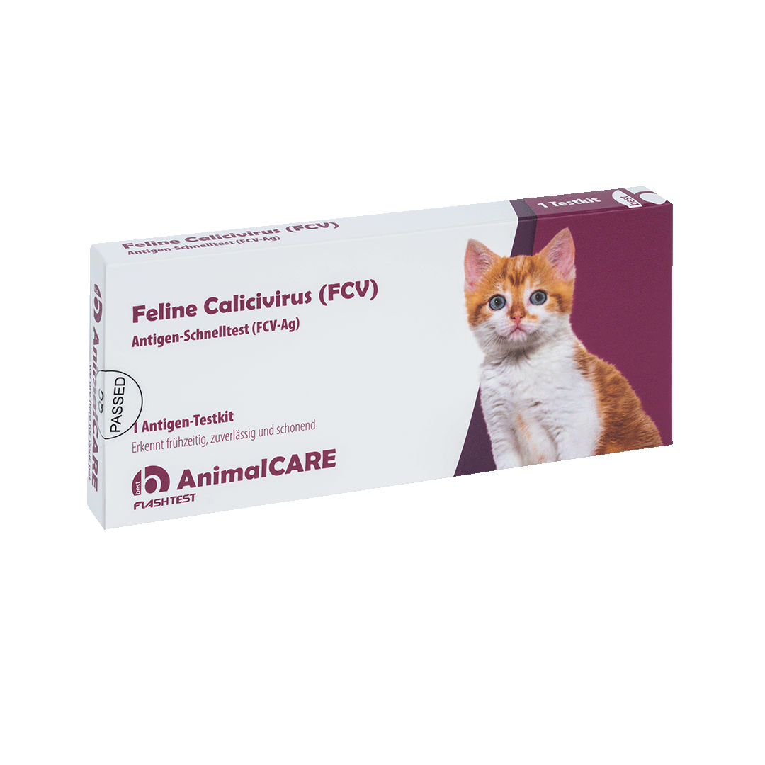 best AnimalCARE Schnelltest 1er Box Feline Calivivirus (FCV) von vorne