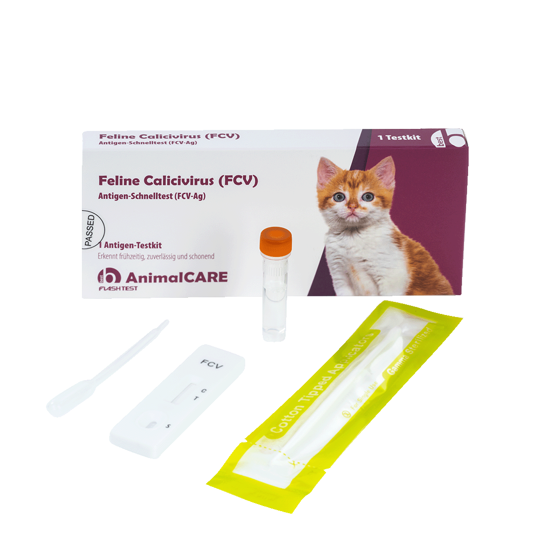 best AnimalCARE Schnelltest 1er Box Feline Calivivirus (FCV) von vorne mit ausgepackten Einzelkomponenten