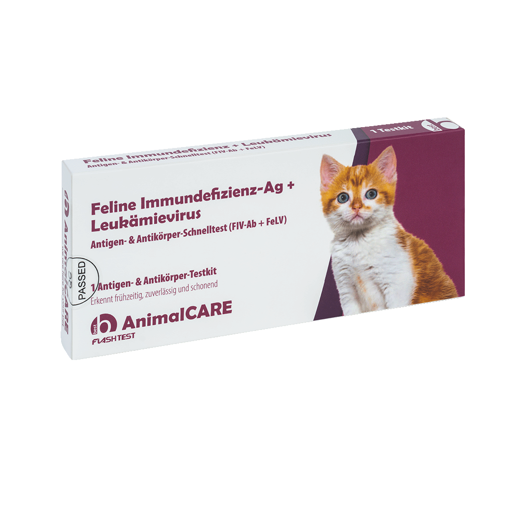 best AnimalCARE Schnelltest 1er Box Feline Immundefizienz-AG (FIF-Ag) und Leukämievierus (FeLV) von vorne