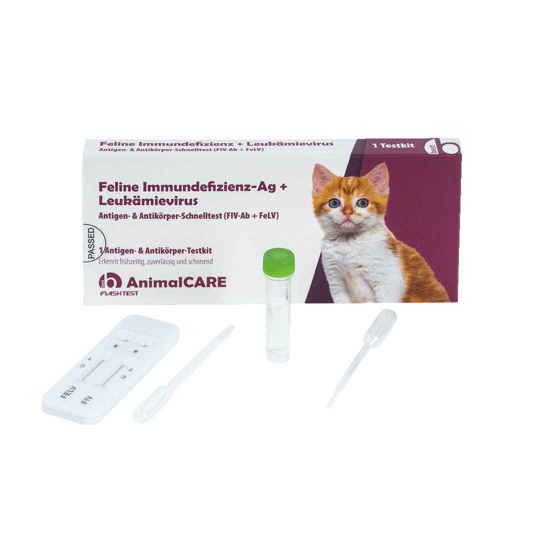 best AnimalCARE Schnelltest 1er Box Feline Immundefizienz-AG (FIF-Ag) und Leukämievierus (FeLV) von vorne mit ausgepackten Einzelkomponenten