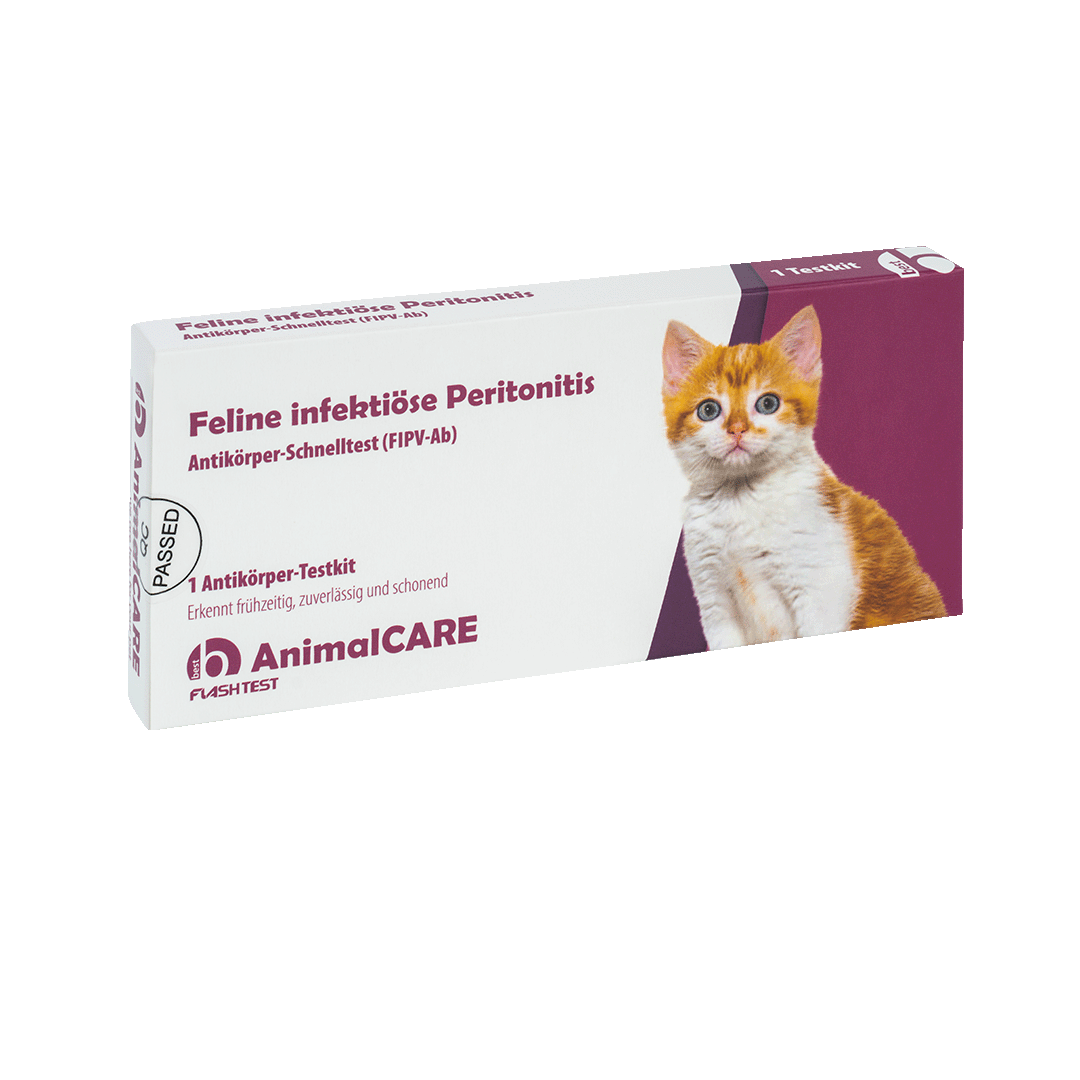 best AnimalCARE Schnelltest 1er Box Feline infektiöse Peritonitis (FIPV-ab) von vorne