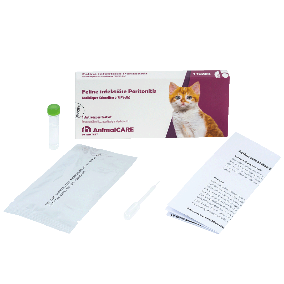 best AnimalCARE Schnelltest 1er Box Feline infektiöse Peritonitis (FIPV-ab) von vorne mit Einzelkomponenten
