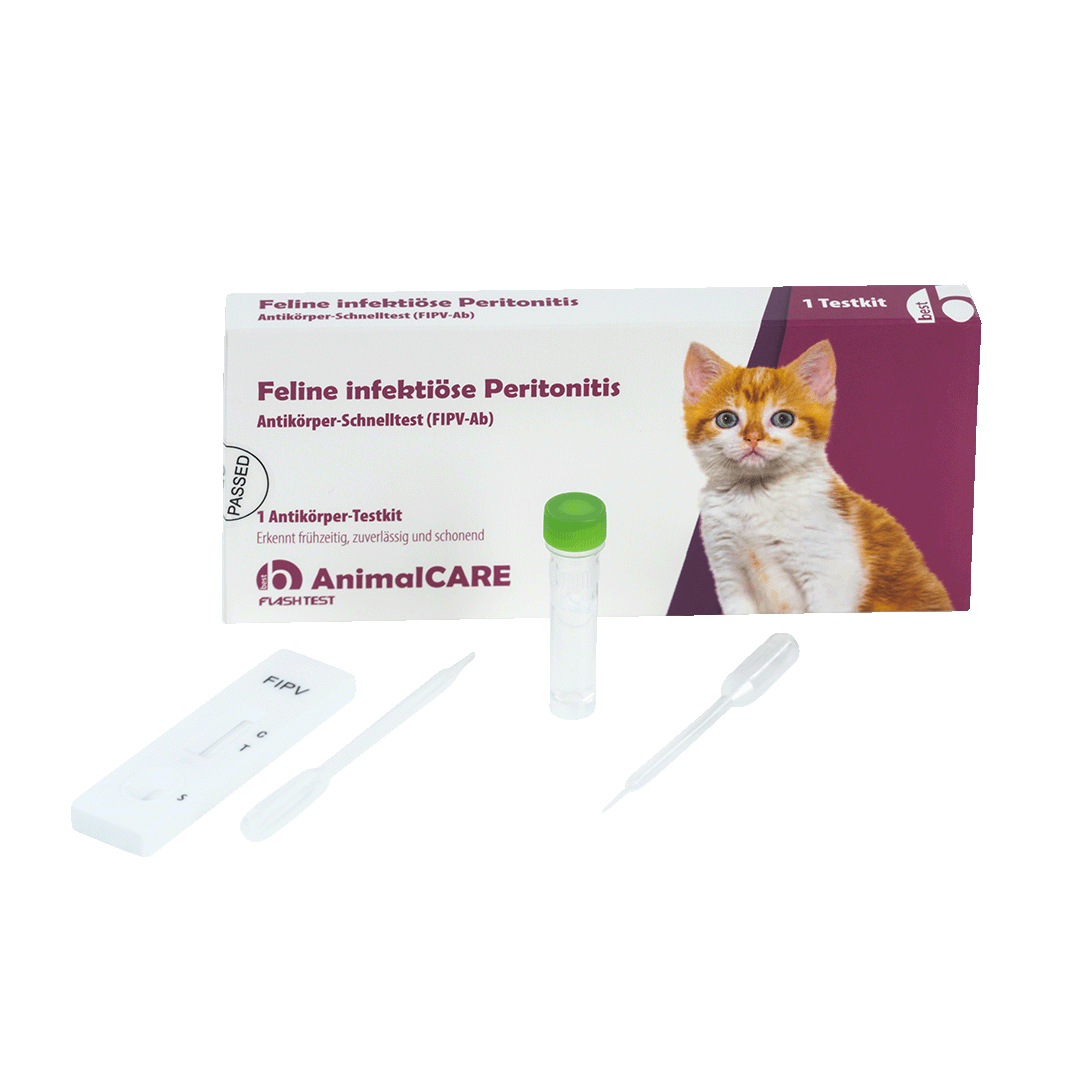 best AnimalCARE Schnelltest 1er Box Feline infektiöse Peritonitis (FIPV-ab) von vorne mit ausgepackten Einzelkomponenten