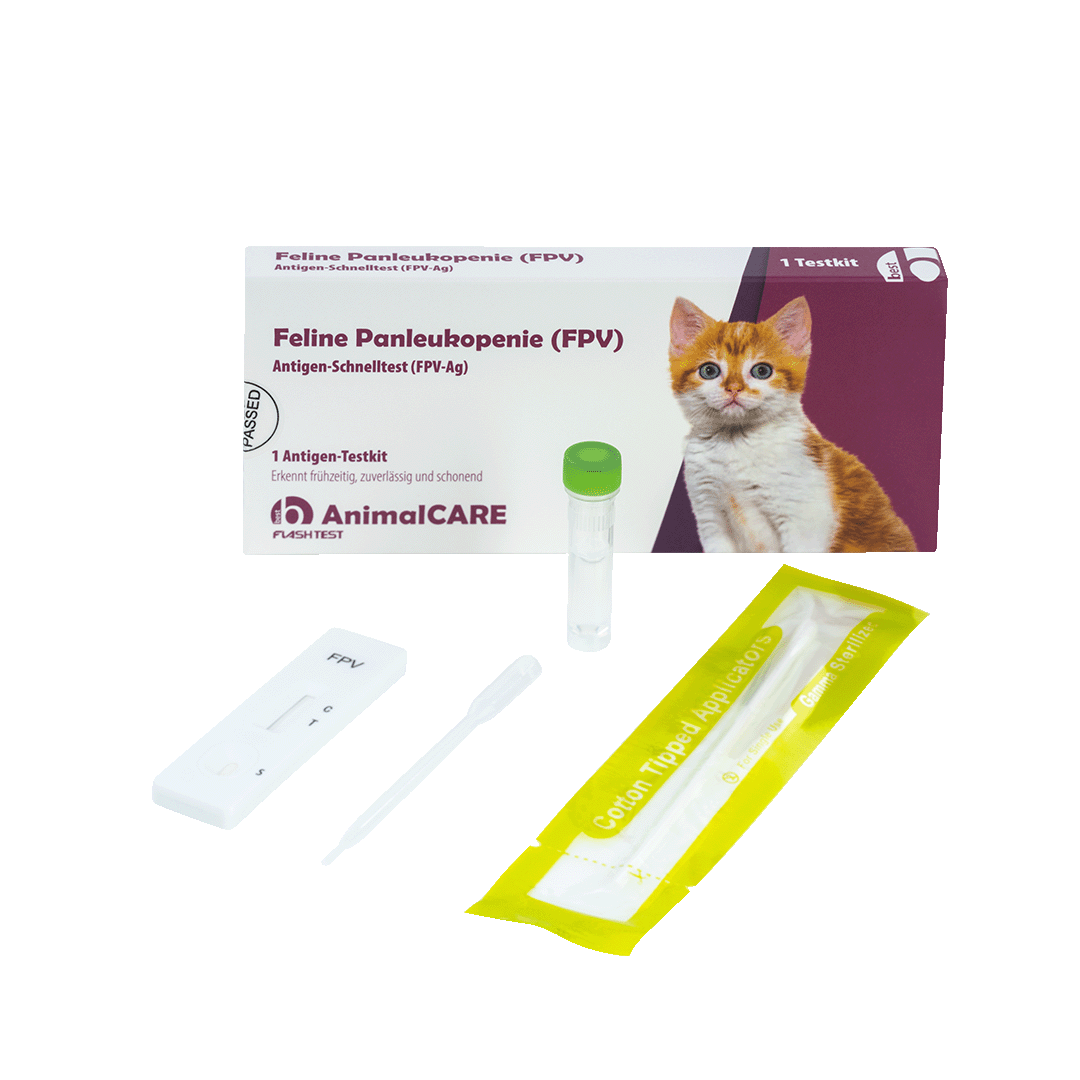 best AnimalCARE Schnelltest 1er Box Feline Panleukopenie von vorne mit ausgepackten Einzelkomponenten
