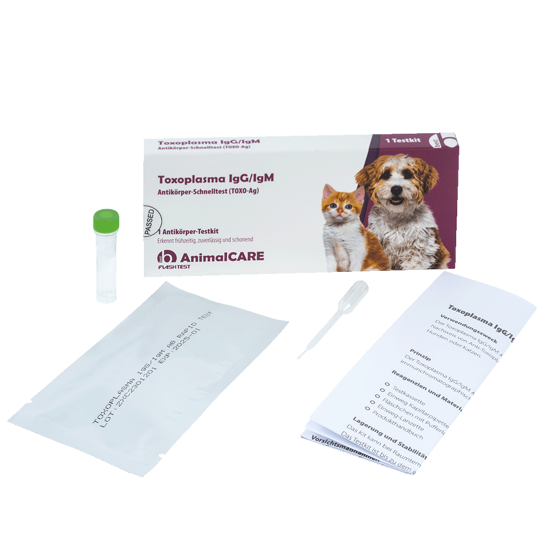 best AnimalCARE Schnelltest Toxoplasma (IgG/IgM) 1er Box von vorne mit Einzelkomponenten