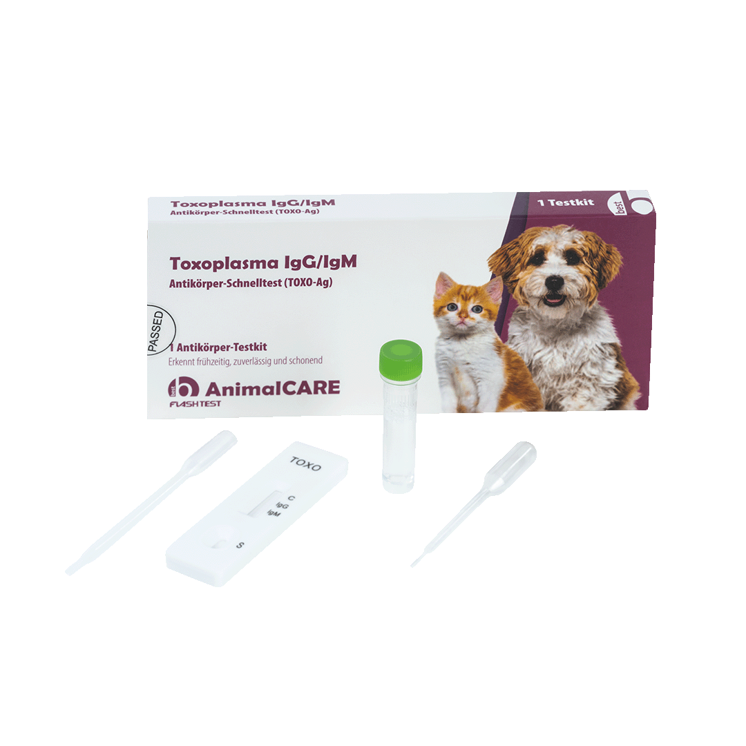 best AnimalCARE Schnelltest Toxoplasma (IgG/IgM) 1er Box von vorne mit ausgepackten Einzelkomponenten
