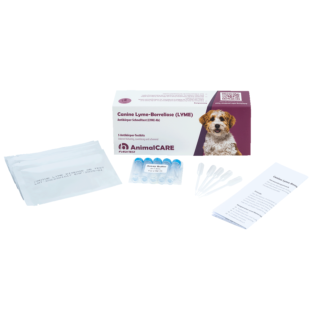 best AnimalCARE Schnelltest Canine LymeBorreliose (LYME) 5er Box von vorne mit ausgepackten Einzelkomponenten