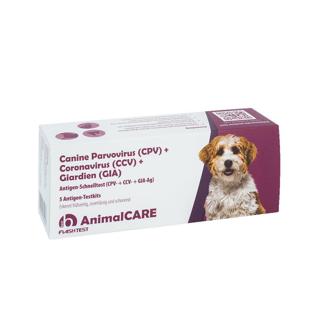 best AnimalCARE Schnelltest Canine CanineParvovirus (CPV), Coronavirus (CCV) Giardien(GIA) 5er Box von vorne