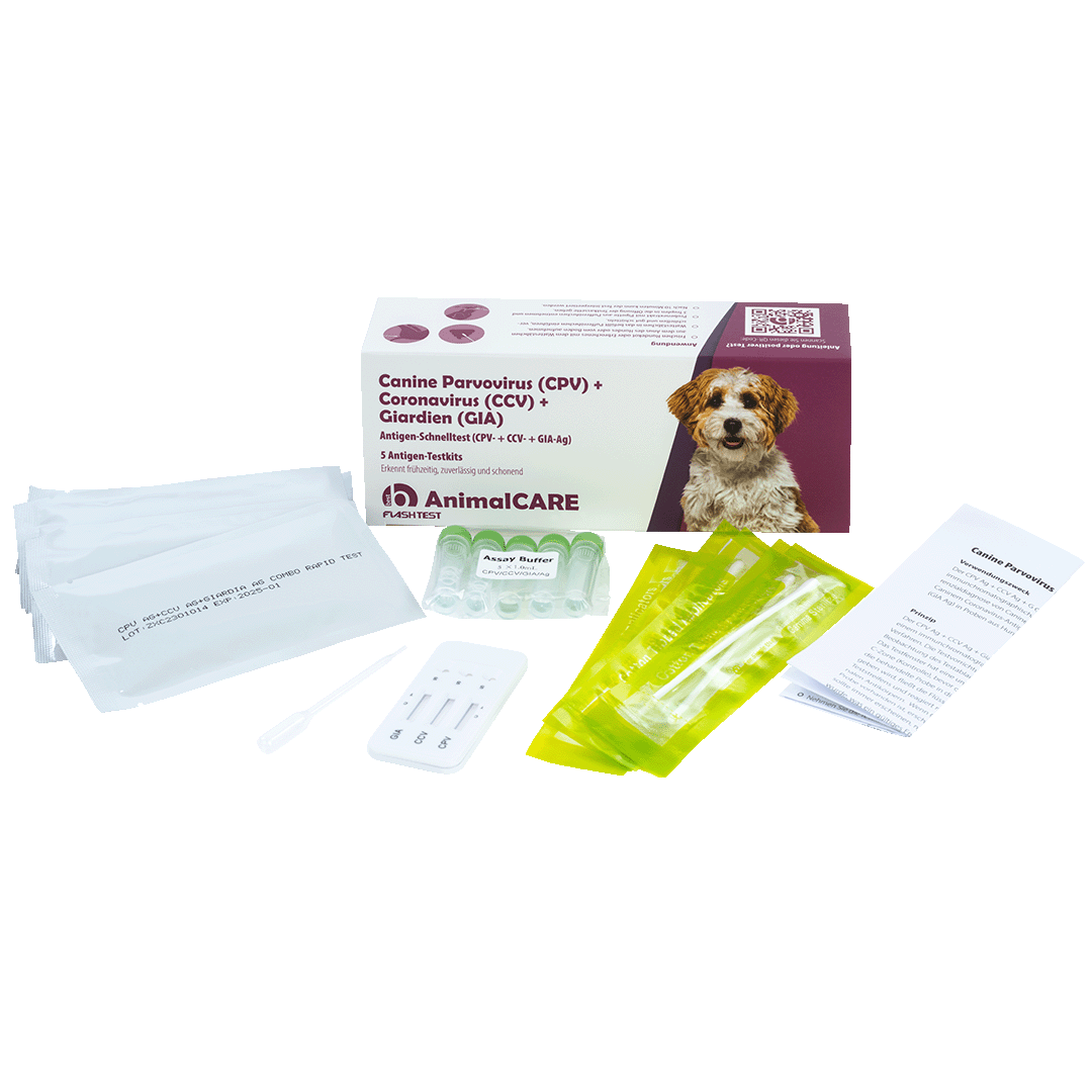 best AnimalCARE Schnelltest Canine CanineParvovirus (CPV), Coronavirus (CCV) Giardien(GIA) 5er Box von vorne mit ausgepackten Einzelkomponenten