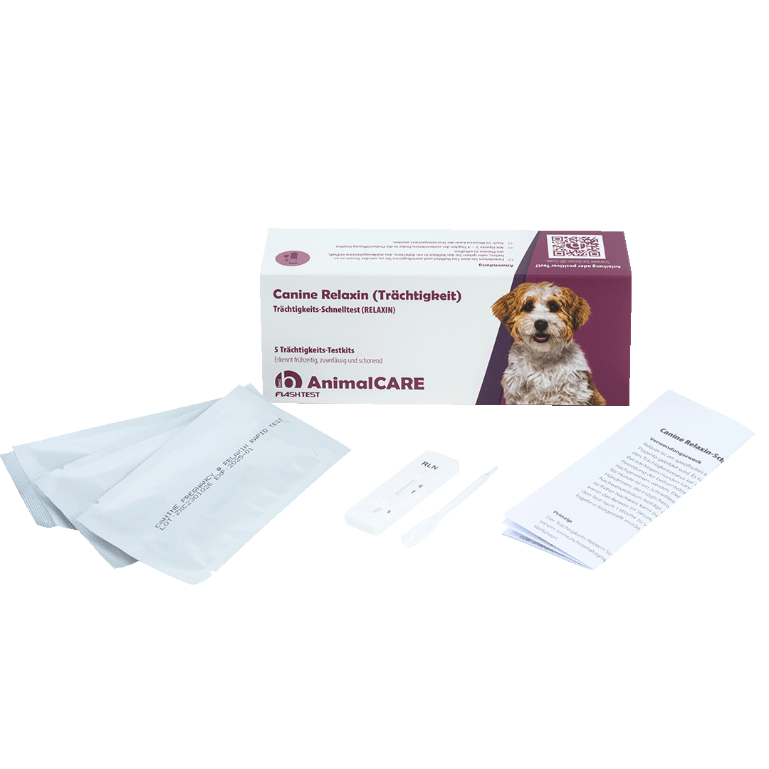 best AnimalCARE Schnelltest Canine Relaxin Trächtigkeit 5er Box von vorne mit ausgepackten Einzelkomponenten