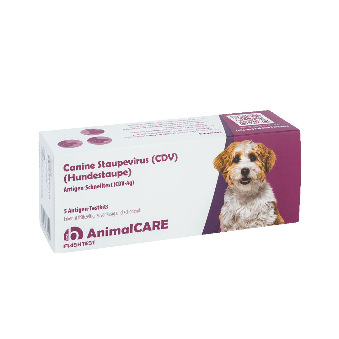 best AnimalCARE Schnelltest Canine Staupevirus 5er Box von vorne