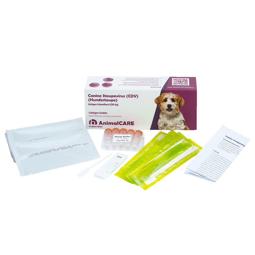best AnimalCARE Schnelltest 5er Box Canine Staupevirus (CDV) von vorne mit ausgepackten Einzelkomponenten