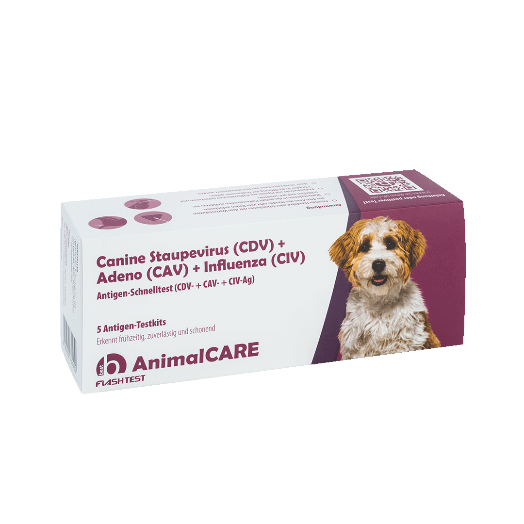 best AnimalCARE Schnelltest 5er Box Canine Staupevirus (CDV), Adeno (CAV) und Influenza (CIV) von vorne