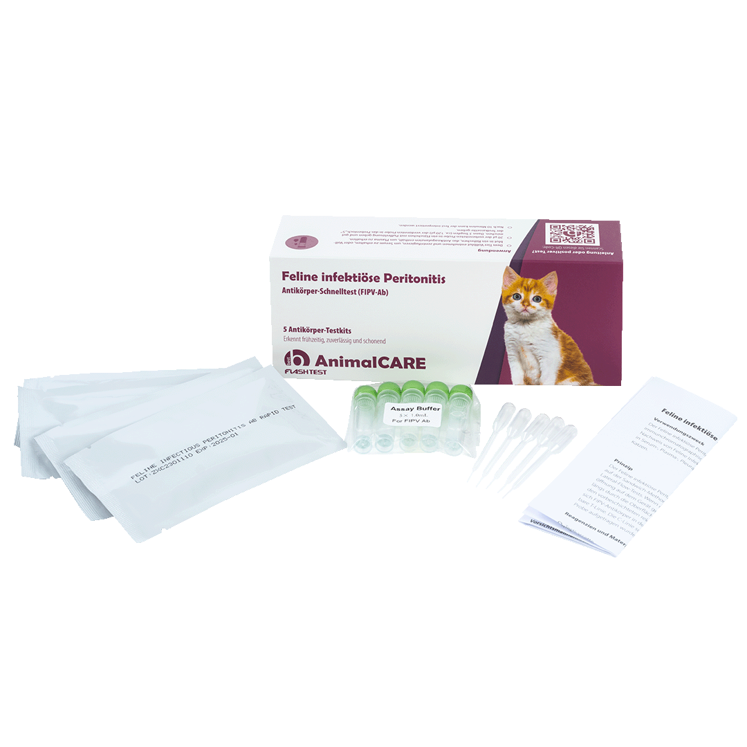 best AnimalCARE Schnelltest 5er Box Feline infektiöse Peritonitis (FIPV) von vorne mit ausgepackten Einzelkomponenten