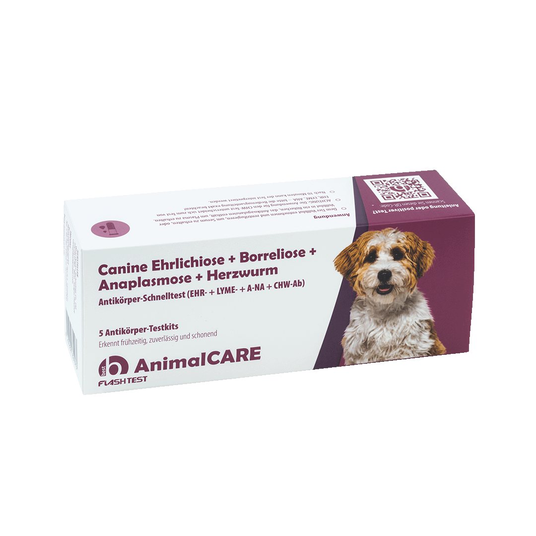 best AnimalCARE Schnelltest 5er Box Canine Ehrlichiose (EHR), Borreliose (LYME), Anaplasmose ( ANA) und Herzwurm (CHW-Ab) von vorne