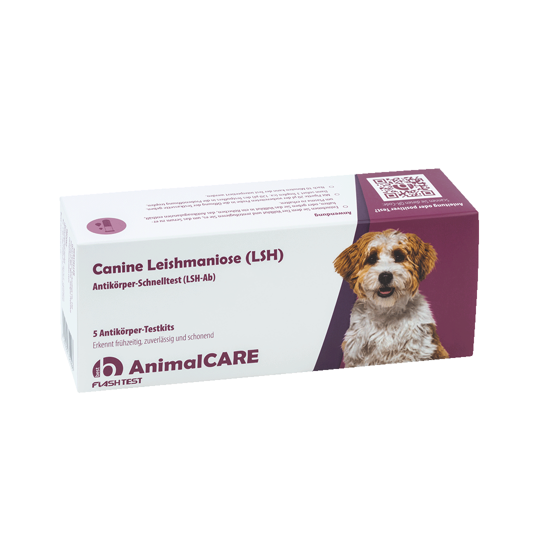 best AnimalCARE Schnelltest 5er Box Canine Leishmaniose (LSH) von vorne