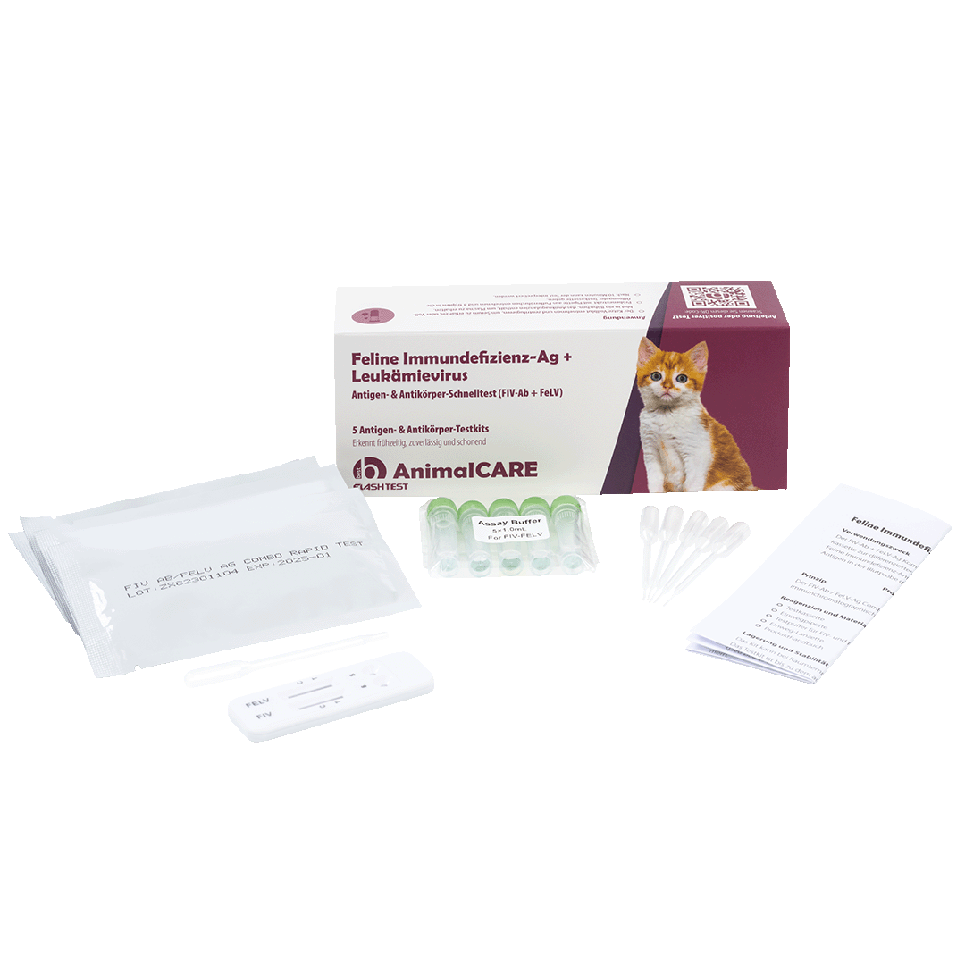 best AnimalCARE Schnelltest 5er Box Feline Immundefizienz (FIV-Ab) und Leukämievirus(FeLV) von vorne mit ausgepackten Einzelkomponenten