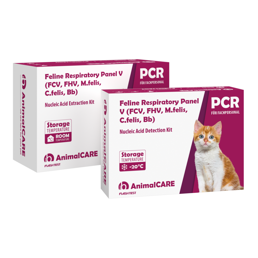 best AnimalCARE PCR Komplettset Feline Respiratory Panel V